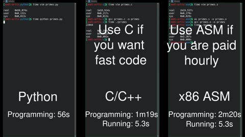 Python vs C/C++ vs Assembly side-by-side comparison