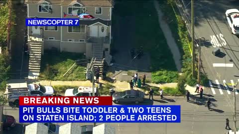 2 teens, toddler attacked by pit bulls on Staten Island