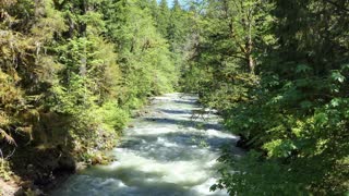 UNWIND- Soothing River Stream Sounds for Mental Clarity and Focus
