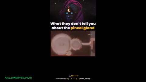 What They Don't Tell You About The Pineal Gland