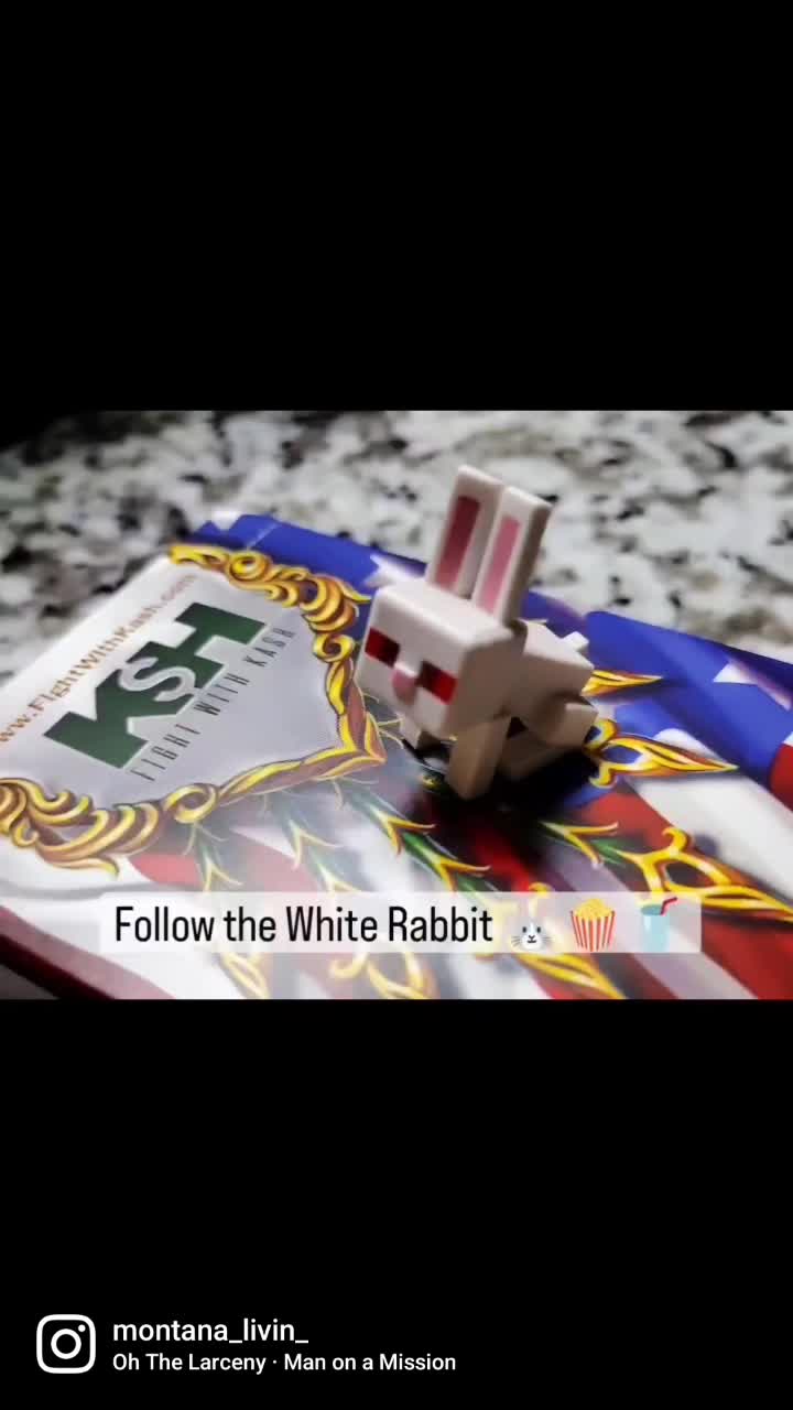 Follow the White Rabbit 🐰🍿🥤