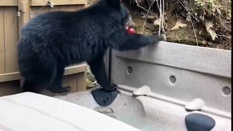 a normal day, a picnic