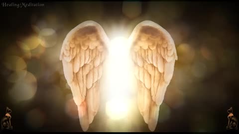 1111Hz. Spiritual Hug of Angel. Unconditional love of Guardian Angels. Make Your Wish Come True.