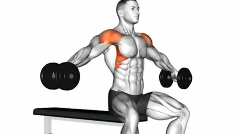 Best Shoulder Workout Exercises For Muscle Mass 💪