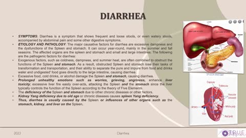 DIARRHEA THERAPY THAT WORKS | True Pathfinder