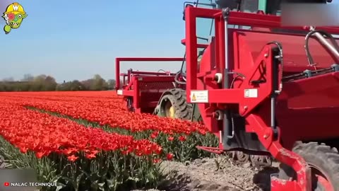 🌾 Mind-Blowing Modern Agriculture Machines 🚜