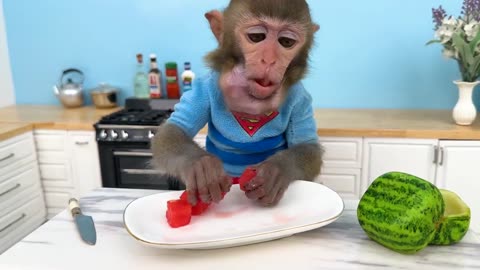 Monkey baby harvesting fruits