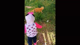 My sweet daughter asks the cat to come with us, but...