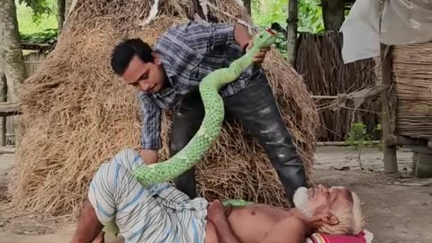 snake funny video