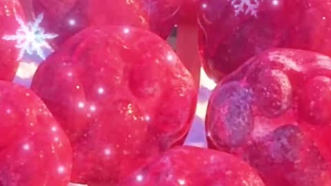 candied haws on a stick