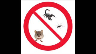 Are you a pest control company that wants more clients?