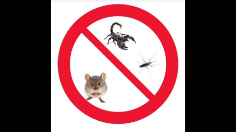 Are you a pest control company that wants more clients?