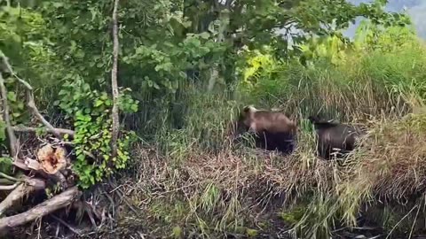 Детский сад на Камчатке ,Jardim de infância em Kamchatka