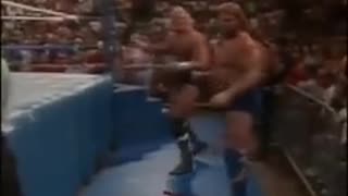 UNDERTAKER & JAKE ROBERTS ATTACK SID