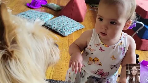Adorable baby baly with dogs compilation
