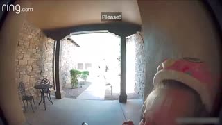 Taylor Talks to Her Neighbor On Ring Video Doorbell After Running Away From a Bobcat _