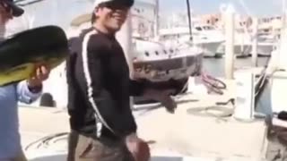 Dolphin Takes Guy's Fish