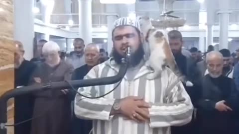 Cat trend islam