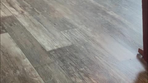 Homeowner Experiences Floating Flooring in New Home