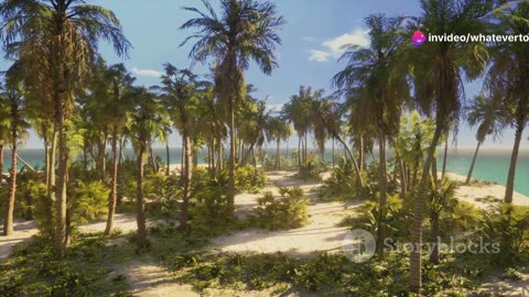 Top 5 Crime-Ridden Paradise Islands You Won't Believe!