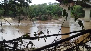 21.1.2024 Barron River, Esplanade, Kuranda