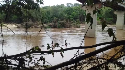 21.1.2024 Barron River, Esplanade, Kuranda