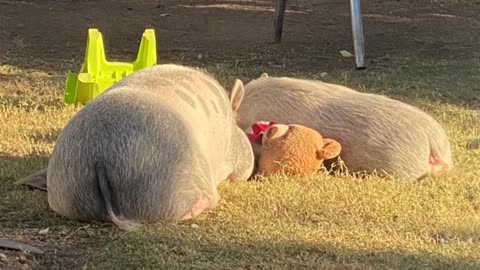 보세요.