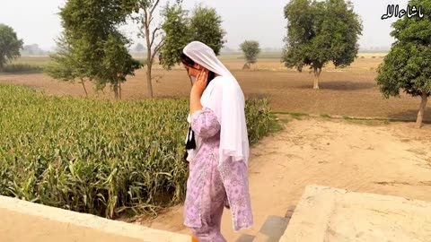 Desi Zindagi ky Desi Rang | Village life Vlogs | Aliza Sehar Vlogs