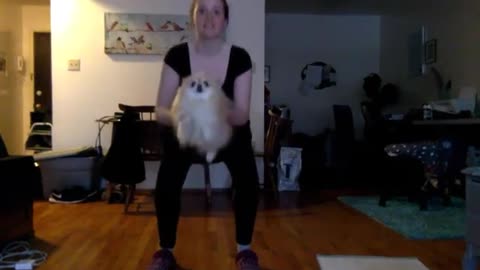 Pomeranian air-swims during owner's workout