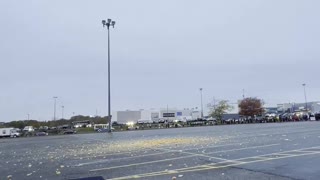 Thousand Pound Pumpkin Dropped 100 Feet