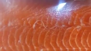 Say no to COSTCO salmon full of parasites