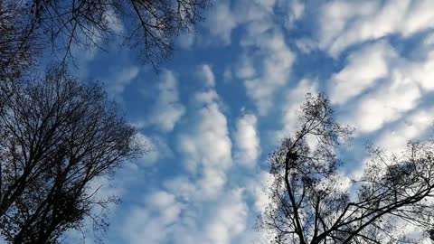 Himmel in Berlin am 10.11.2022 um 15:30 Uhr