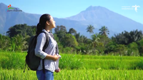 Pesona Lombok Timur