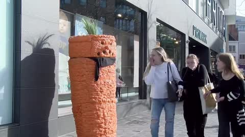 Very Funny Carrot Prank Video