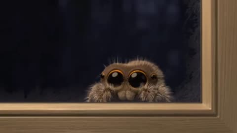 Lucas the Spider All Episodes-4