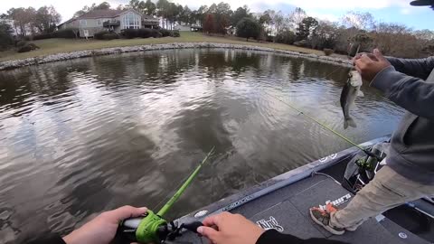 Once in a Lifetime DOUBLE DIGIT Bass - SCALE NEEDED (Lake Fishing)