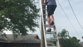 Team Effort to Rescue Trapped Cat