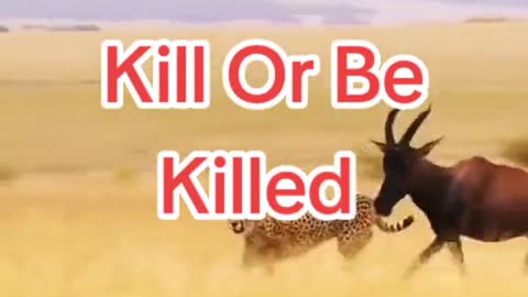 KILL OR BE KILLED (MUST WATCH)