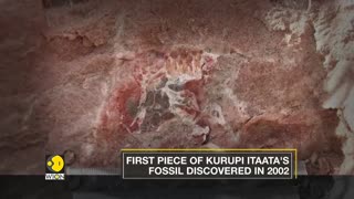 Kurupi Itaata- A New dinosaur species discovered in Brazil | WION English News