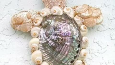 artistic seashell craft decoration/seashell craft