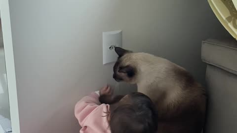 Oliver Protects Ayla From Outlet