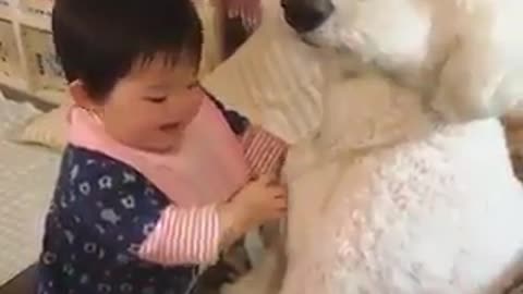 Cute baby being needy with dog