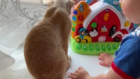 Funny cat playing with cute 🥰 baby videos