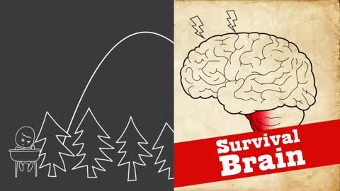 Learning brain vs survival brain Trauma