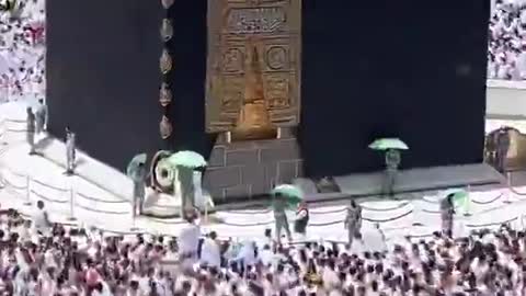 Madeena 🕋 short video. Islamic Status