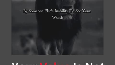 Your Value Is Not Determined By Someone Else's Inability To See Your Worth...