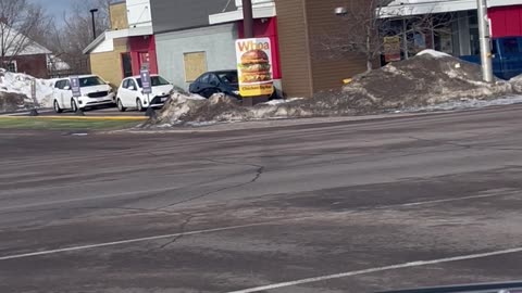 Deer Run Down the Middle of the Street in Canada