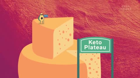 The Impact of the Keto Diet on Your Body | Understanding the Effects on Human Physiology