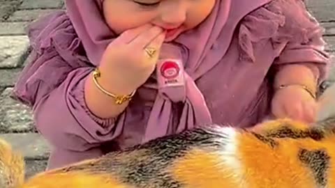 My cat 😸 and baby funny video