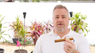 Espinosa Crema No 5 Cigar Review